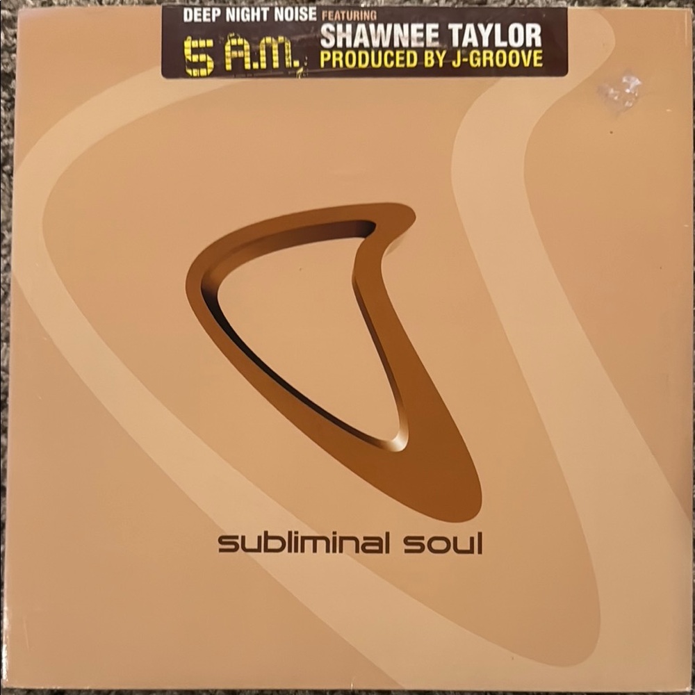 Subliminal Soul Vinyl Record - Brown